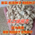 新采枸橘种子枳壳种籽子枸桔积壳树苗嫁接砧木香橙红橘树种