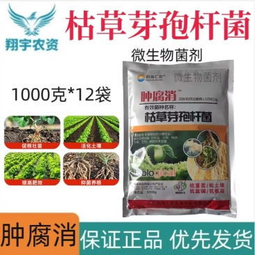 四海汇农肿腐消枯草芽孢杆菌微生物菌剂
