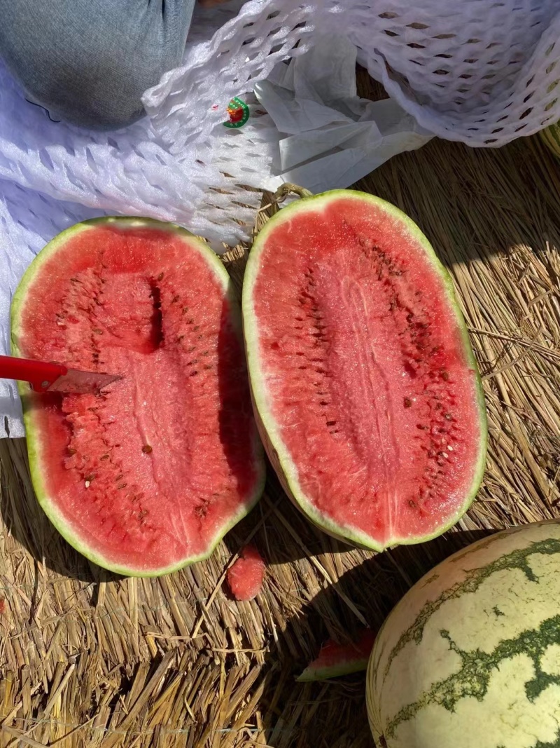 宁夏西瓜精品硒砂瓜产地直发一手货源