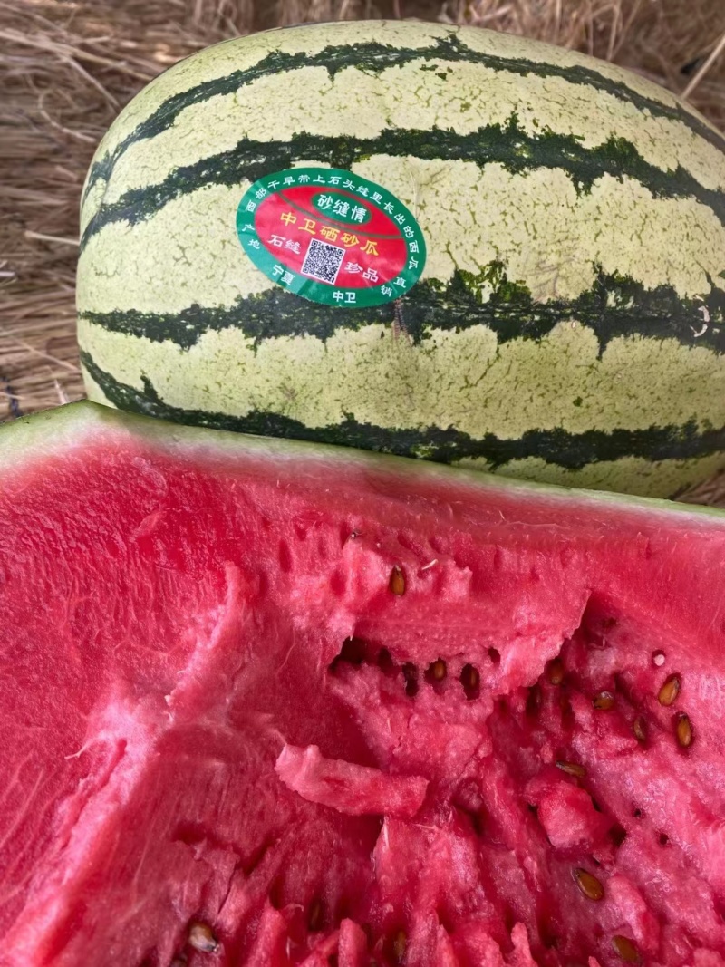 宁夏西瓜精品硒砂瓜产地直发一手货源