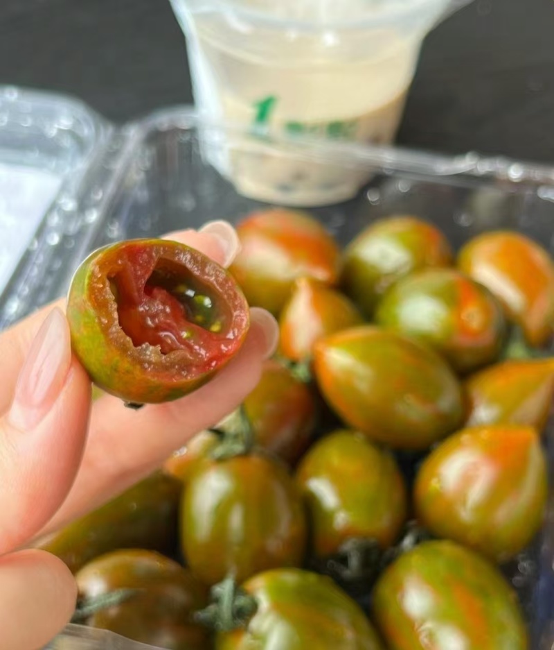 宁夏沙地紫龙番茄迷彩小番茄产地直发一手货源