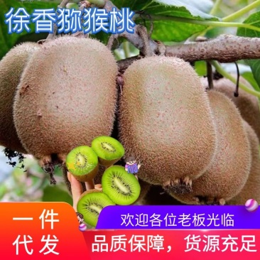 【果园直发】猕猴桃陕西徐香猕猴桃礼盒装一件代发全国