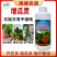 增瓜灵苦瓜黄瓜丝瓜西瓜甜瓜增产剂雄花变雌花座果灵提高座果