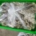 新鲜平菇批发云南灰平菇大吨位供应市场批发一条龙服务