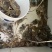 【苏州大闸蟹】江苏苏州基地直供质量上乘精品礼盒一件代发