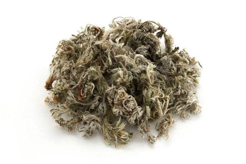 茵陈茵陈粉中药材粉