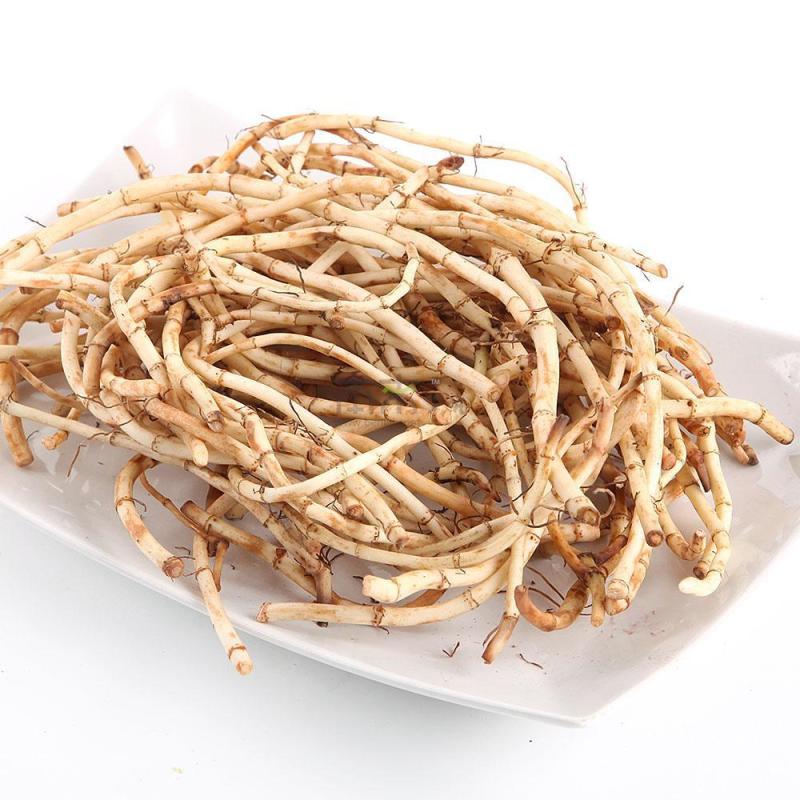 鱼腥草鱼腥草粉折耳根