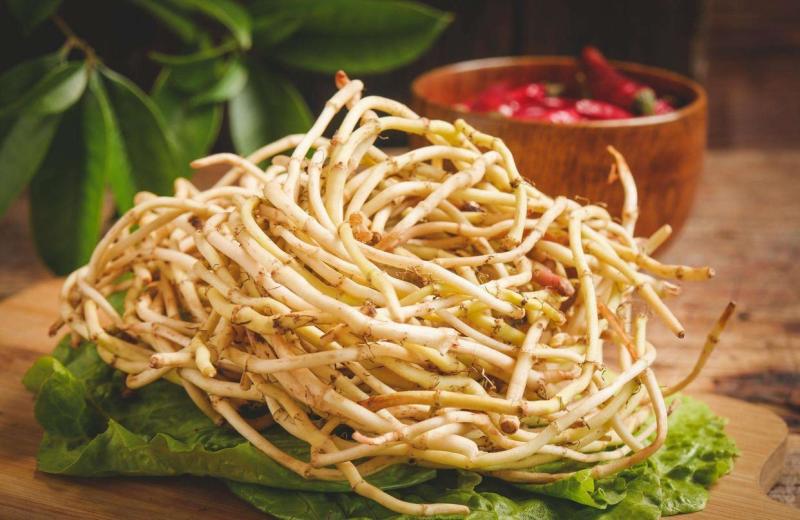 鱼腥草鱼腥草粉折耳根