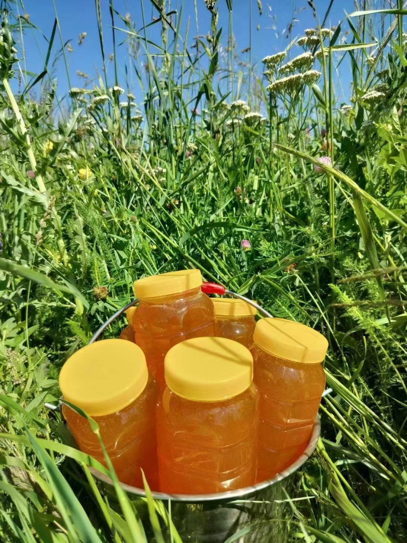 新疆山花百花蜜自家养殖自产自销欢迎电商工厂咨询