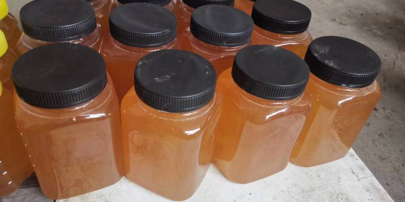 新疆山花百花蜜自家养殖自产自销欢迎电商工厂咨询