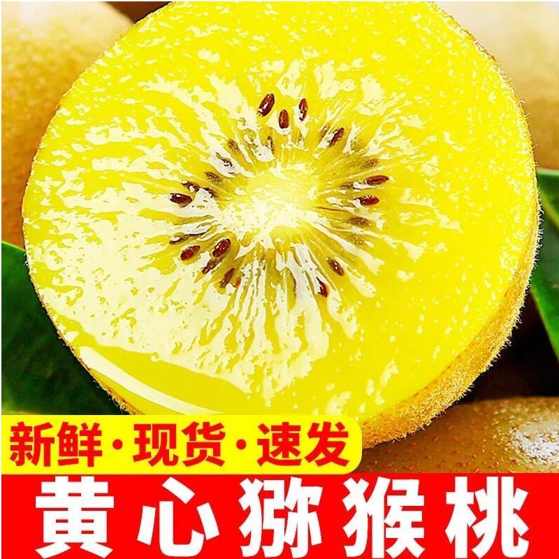 金桃黄心猕猴桃