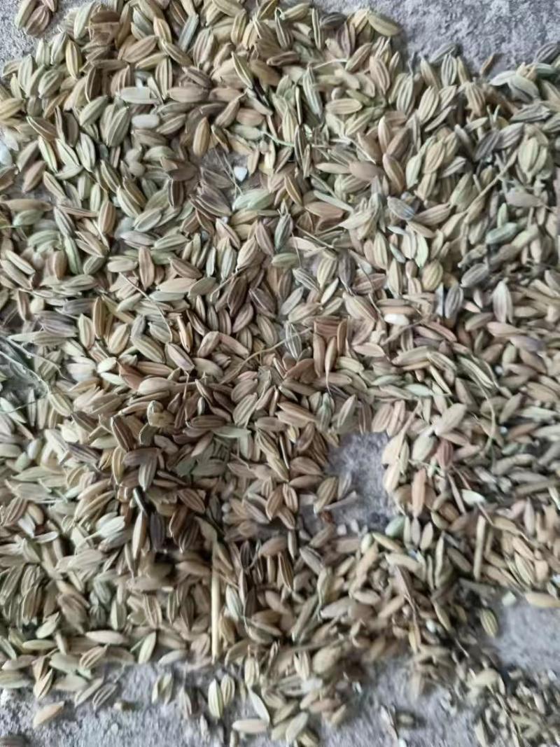 江西饲料原料上饶米糠国库清选半胀谷子草子碎米稻壳等