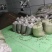 高端亚麻籽油，有检测报告，自己加工，资质齐全品质放心