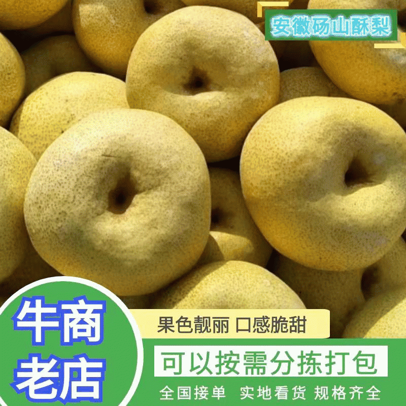 安徽酥梨电商.商超口感翠甜汁多皮薄现采现发诚信经营