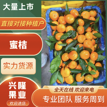 （高原种植）青皮蜜桔酸酸甜甜非长可口汁水满满，爱吃就下单