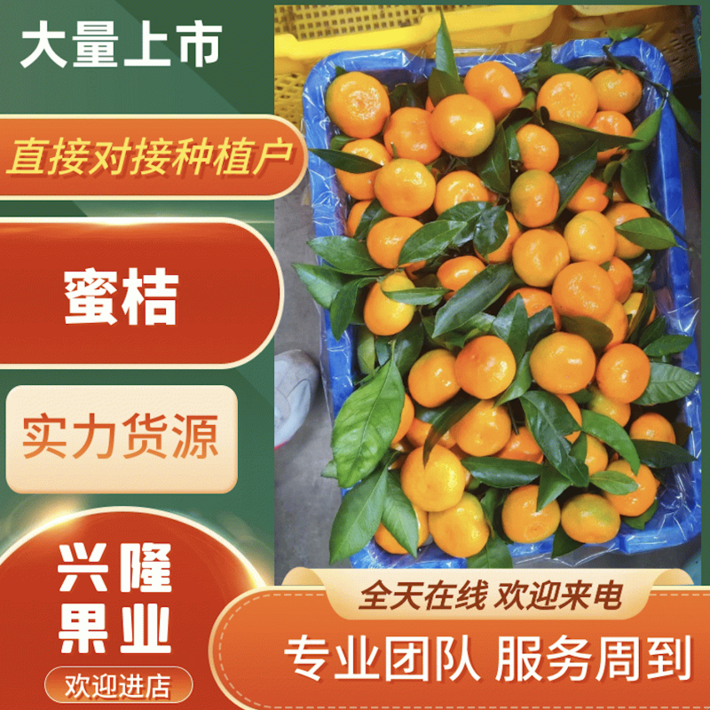 （高原种植）青皮蜜桔酸酸甜甜非长可口汁水满满，爱吃就下单
