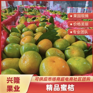 （进店选购）云南蜜橘，青皮桔子酸酸口感自然熟现摘现发