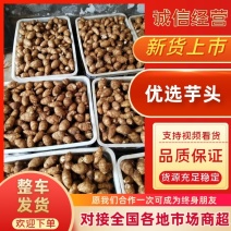 优质毛芋头，新鲜现挖，大量上市，芋头产区货源充足品种优良