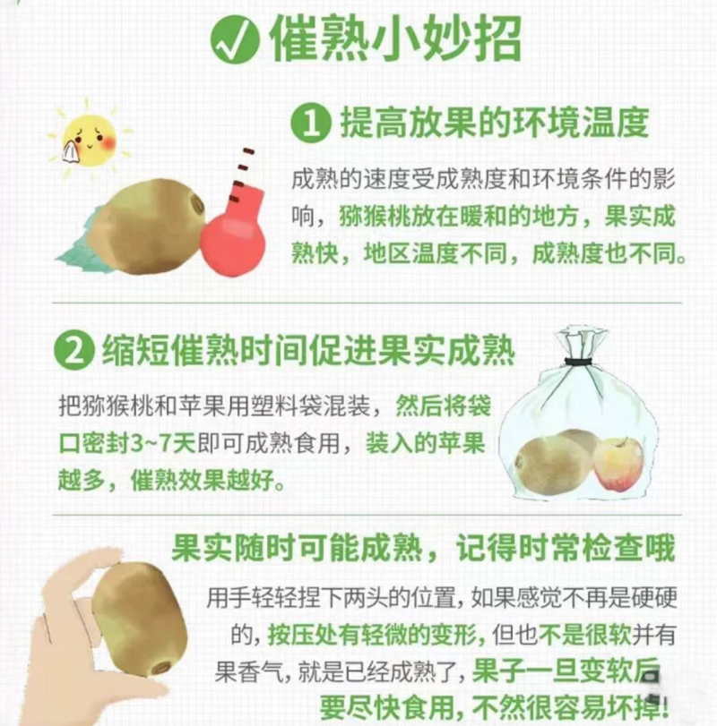 （实力）徐香猕猴桃保质保量产地一手货源可视频看货