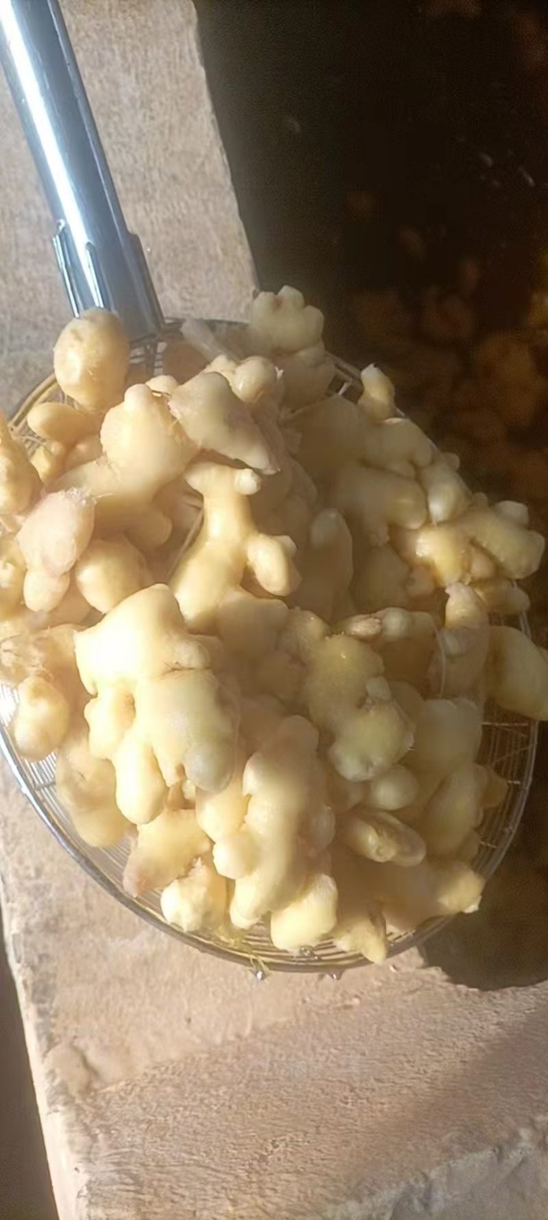 泡姜电商~批发~商超全国发货，欢迎进店咨询
