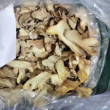 干姜片无硫小黄姜品质好货量足，支持视频看货