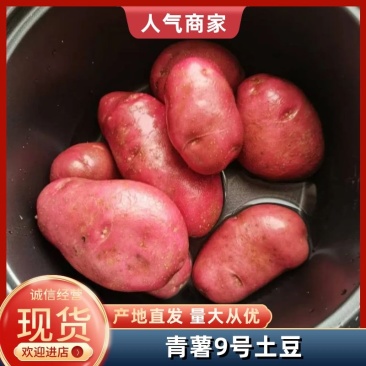 青薯9号红皮红心产地直发欢迎咨询合作品质保证