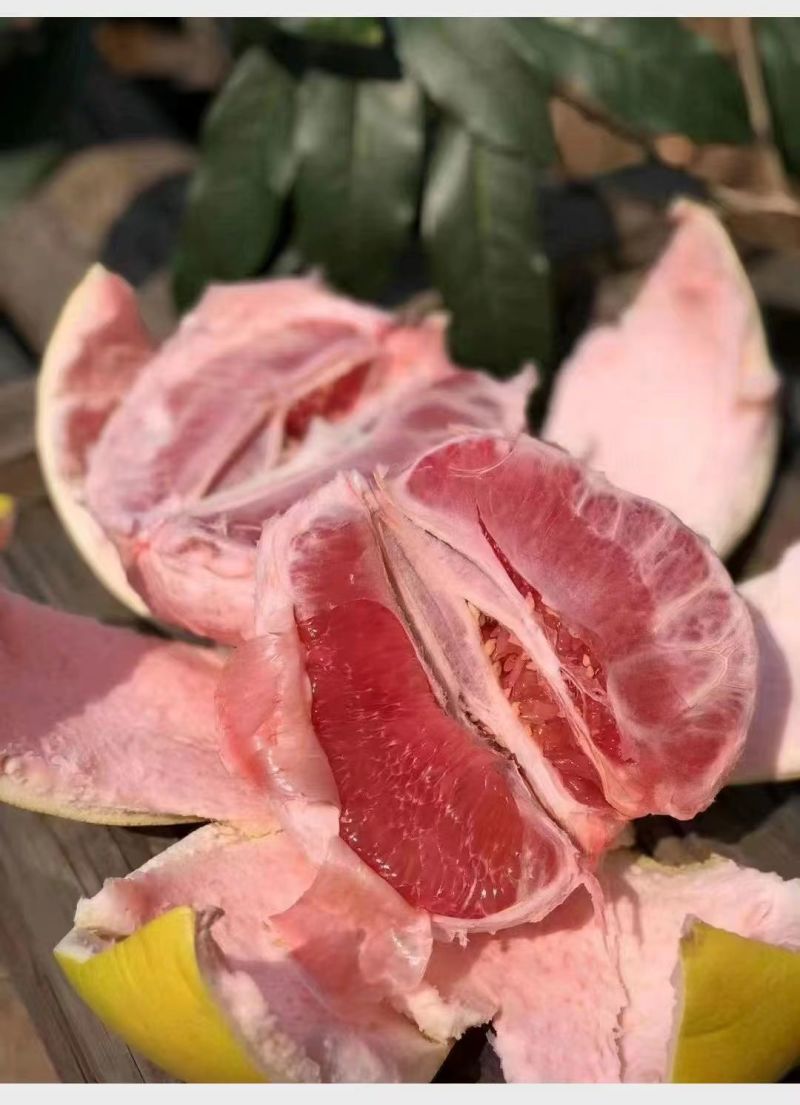 福建红心柚子/量大质优/价格优惠/一手货源/支持视频看货