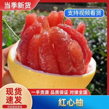 福建红心柚子/量大质优/价格优惠/一手货源/支持视频看货
