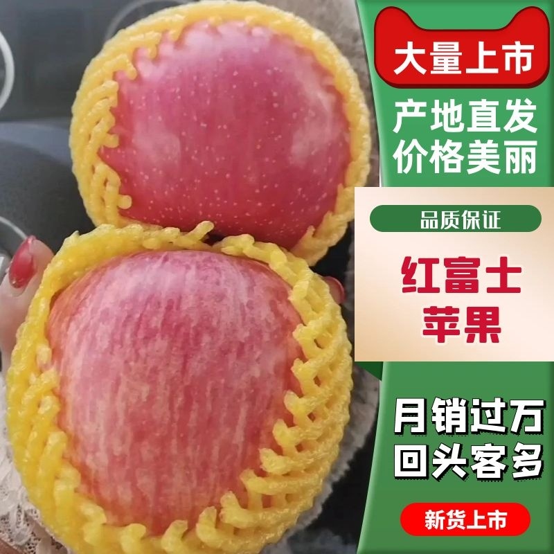 红富士苹果，产地直发，口感脆甜，质量保证，代收代发