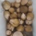 【泡菜】咸菜，腌菜热烈欢迎四海宾客来我们基地考察订购