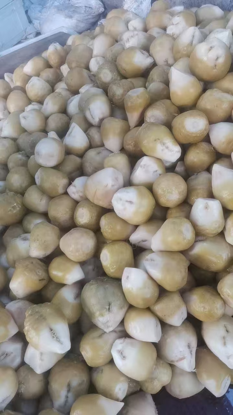 【泡菜】咸菜，腌菜热烈欢迎四海宾客来我们基地考察订购