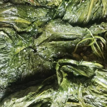 【泡菜】脆爽可口保质保量，传统工艺淹制厂家直供