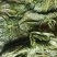 【泡菜】脆爽可口保质保量，传统工艺淹制厂家直供