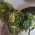 【泡菜】脆爽可口保质保量，传统工艺淹制厂家直供