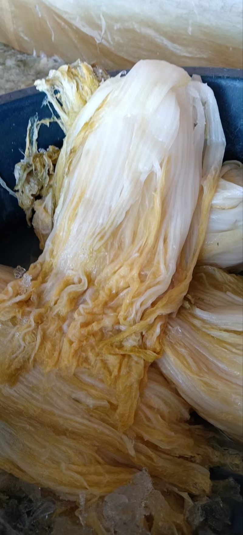 泡酱腌菜【酸菜】欢迎客商前来采购！支持视频看货