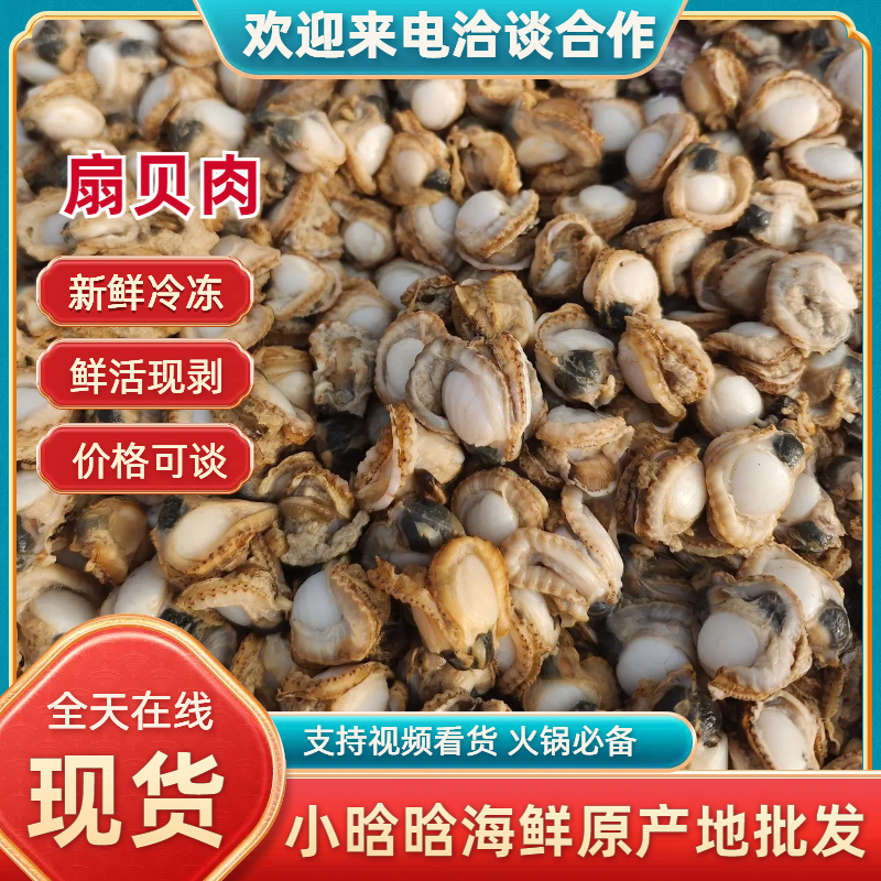 扇贝肉新鲜扇贝肉新鲜冷冻鲜活现剥扇贝肉海鲜火锅食材