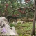 云南嘎啦苹果石缝生长矿物质高基地直发欢迎咨询