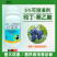 5%吲丁萘乙酸促发新根生根壮根植物生长调节剂