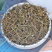 白花蛇舌草蛇舌草材批发