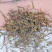 白花蛇舌草蛇舌草材批发