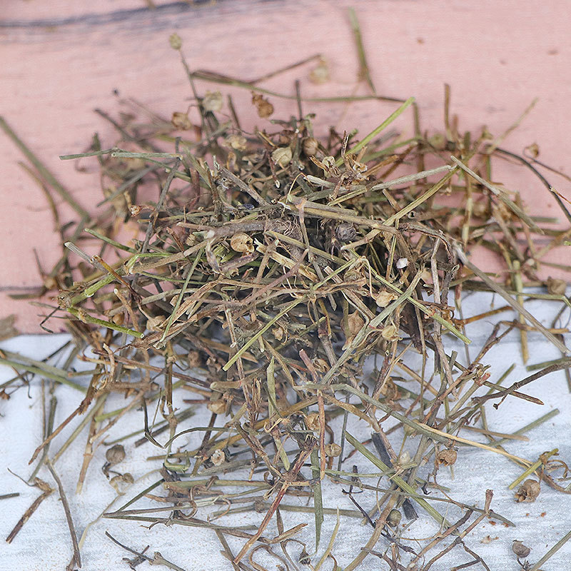 白花蛇舌草蛇舌草材批发