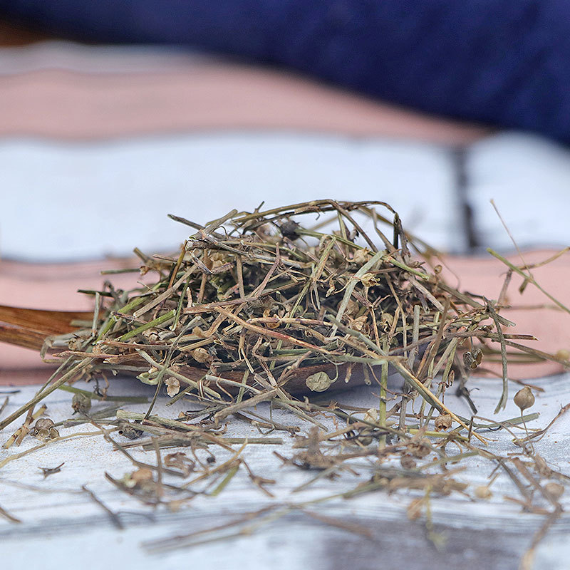 白花蛇舌草蛇舌草材批发