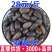 双肾子一件代发量大从优