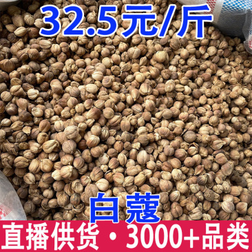 豆蔻肉豆蔻白豆蔻批发量大从优