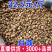 豆蔻肉豆蔻白豆蔻批发量大从优