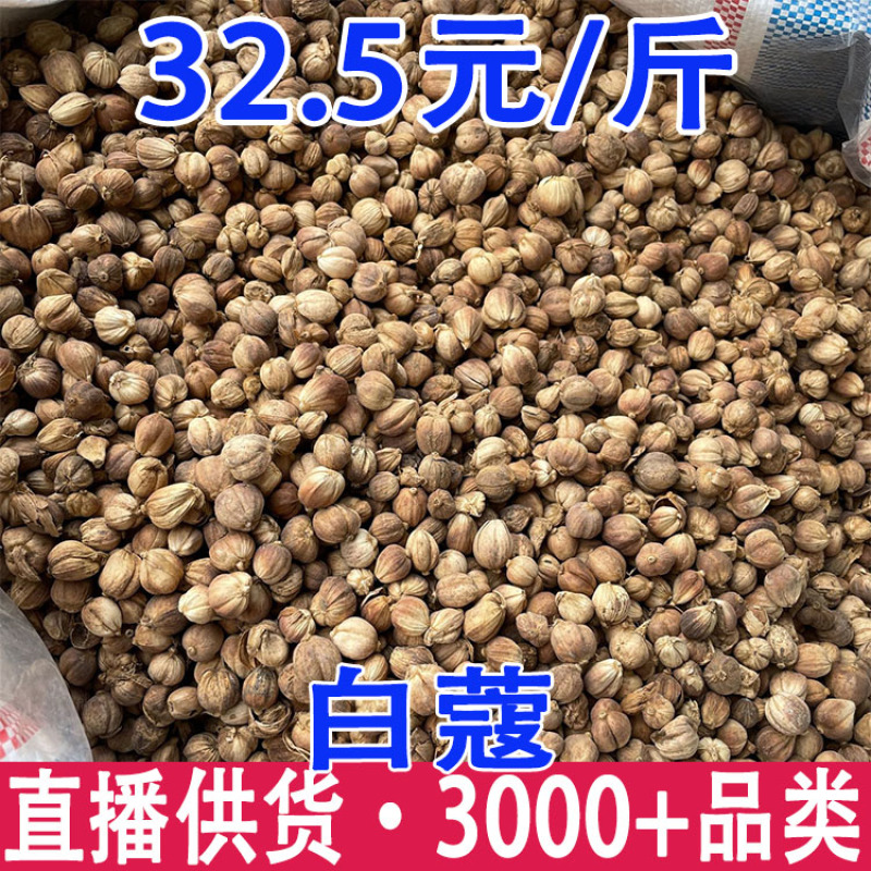 豆蔻肉豆蔻白豆蔻批发量大从优