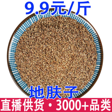 地肤子