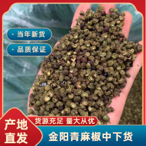 原产地金阳青麻椒中下货全年供应量大价优货源充足品质保障