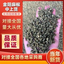 原产地直发金阳麻椒上货青麻椒24年新货量大价优货源充足