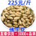 佛手花佛手花一件代发量大从优